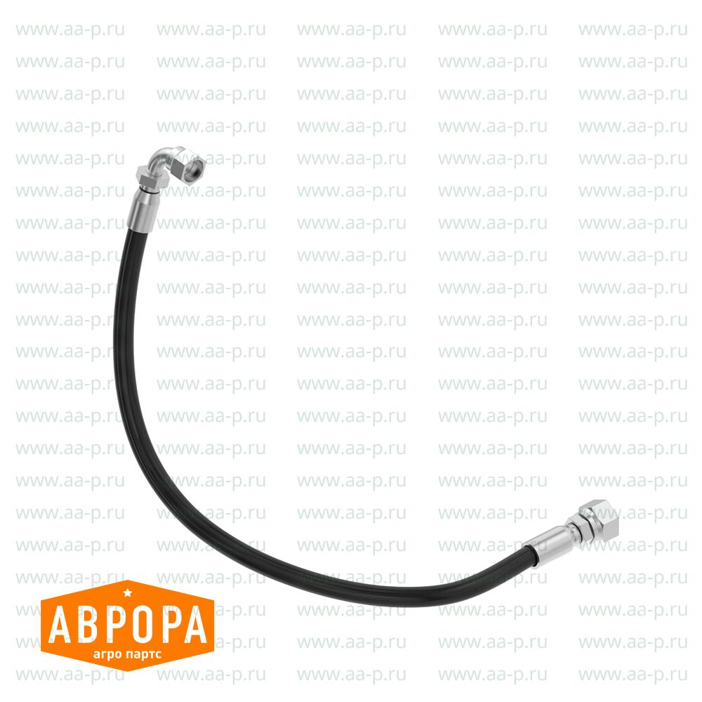 ER263574 САЛЬНИК